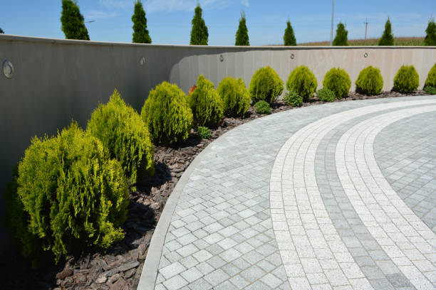 Best Residential Driveway Paver Services  in Fmington, AR